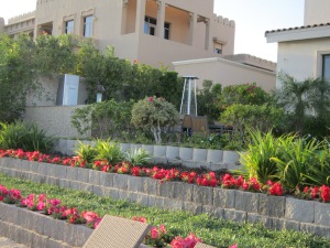 3 tier plant beds displaying and array of colourful plants brightening up the front of the house. 